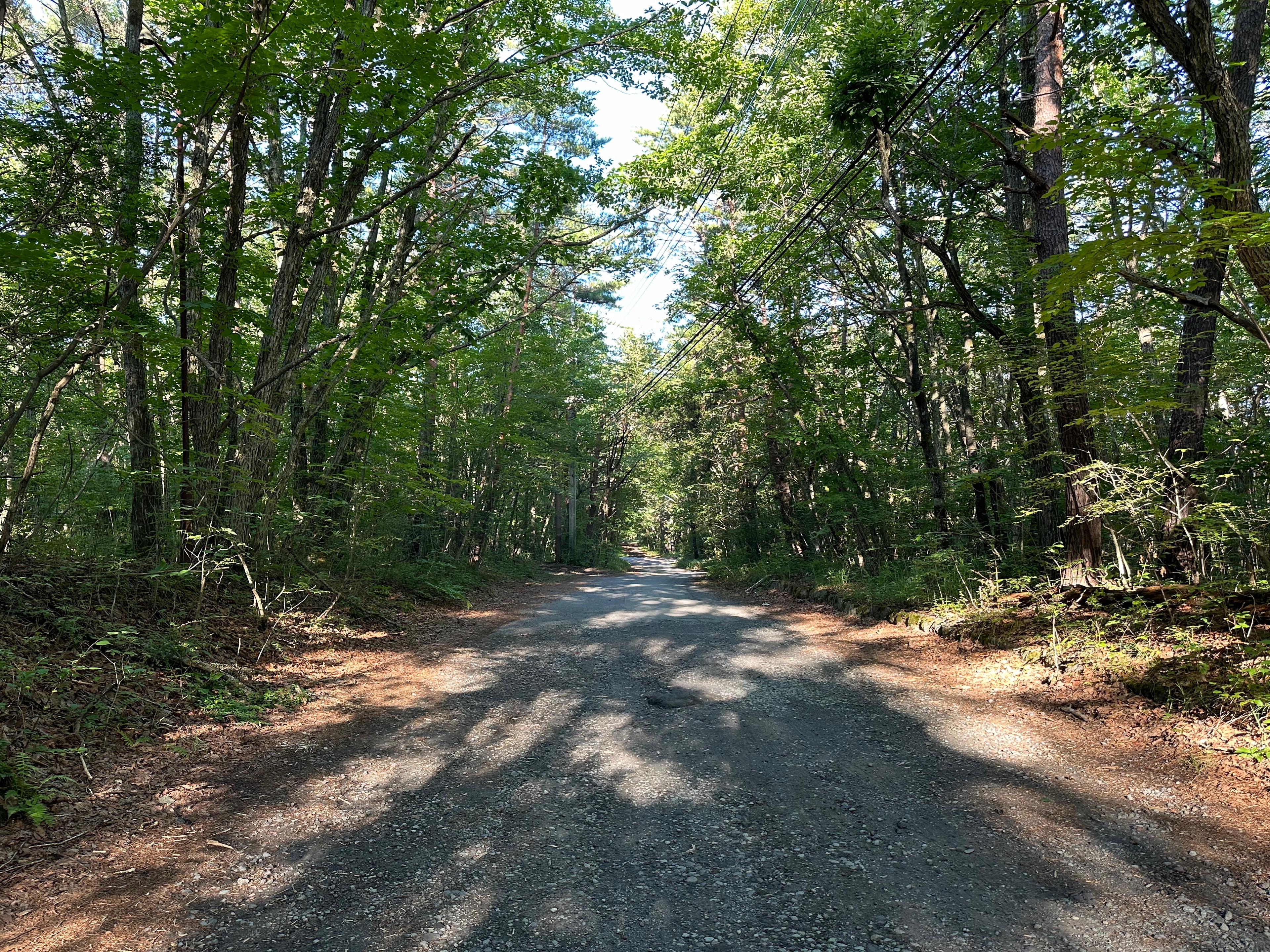 THE FOREST SAUNA 北軽井沢 薫 Kaori（2026年夏オープン予定） プライベートサウナ付き貸別荘（準備中）